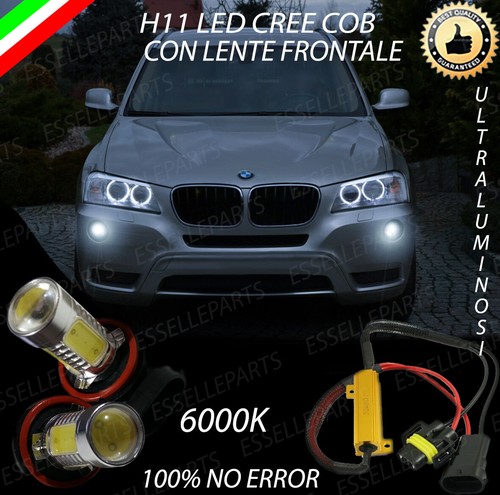 Coppia lampade fendinebbia h11 - fendinebbia,